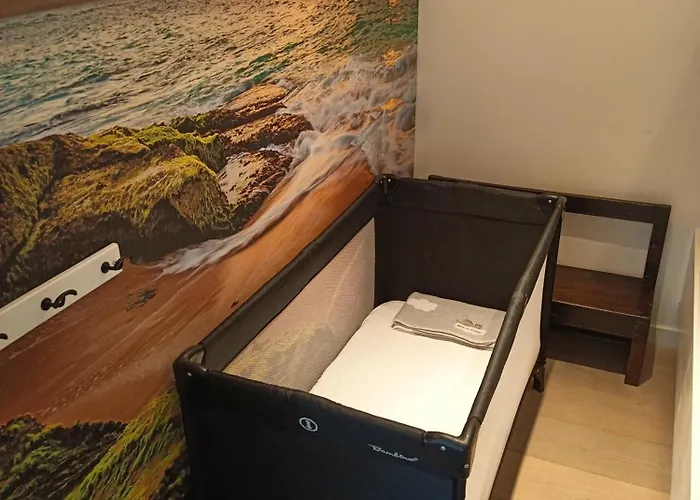 Appartement Geniet De Zee Met Top-appartement Fuji